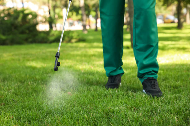 Best Affordable Pest Control Services  in Sparta, NC
