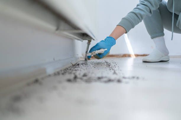 Best Wildlife Control Services  in Sparta, NC